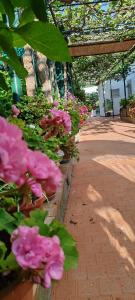 Villa dei fiori B&B