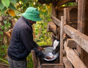 Gatundu Slow Life Farm Stay and Hiking in Tea Farms