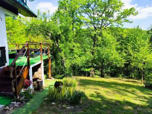 UNDER THE GREEN ROOF
