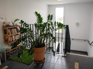 Appartement de LEspiguette