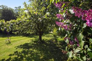 Ferienwohnungen große Albferien
