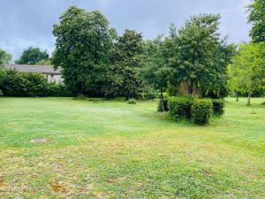 B&B / Chambres d'hotes Chateau Ciers : photos des chambres