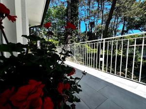 Villa Greif