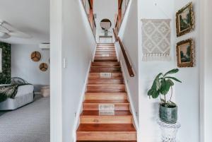 Jungle Cubby by Coast Hosting