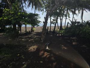 Casa Rosa - Beach Front