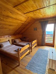 Brvnara Jevtic, Tara