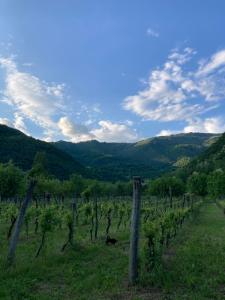 Casa del Grivò - Alloggio Sole