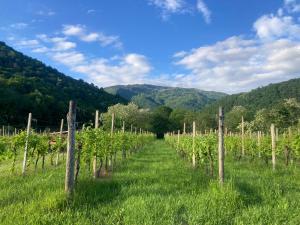 Casa del Grivò - Alloggio Luna