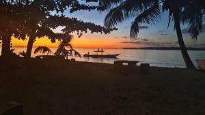 Twin Palms Villa and Homestay