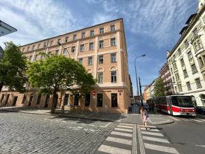 Modern studio with terrace