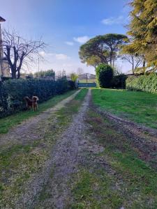 Appartamento con 2 Camere da Letto