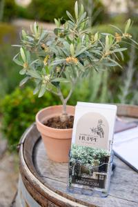 Hotels LA FERME DE LA HUPPE : photos des chambres