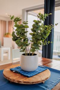 Luxury apartment with sea wiew, next to the beach