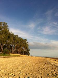 Maisons de vacances Villa Barcarolle - Bassin Arcachon : photos des chambres