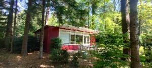 Natuurhuisje het Jagertje