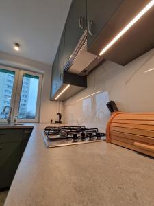 Apartament Suchanino