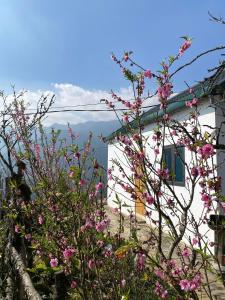 1579 Homestay Sapa - Venuestay