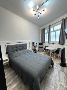 Cozy oasis in La Condesa