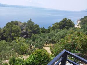 Apartments Mare