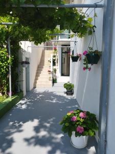 Apartments Mare