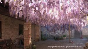 Agriturismo Furfullanu img26