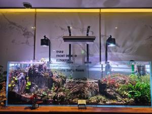 Awesome Boutique Hotel