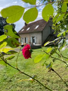 Gite de Fleur - Chateau du Grand Luçay