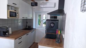 Apartman Mocic