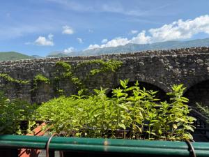 Apartments Aleksić Old Town