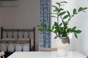 Rocks and Waves Sifnos