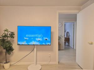 Peaceful moment in the heart of Seoul near DDP 명동