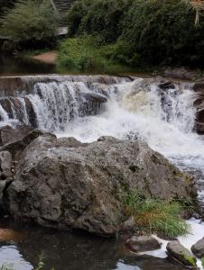 Maisons de vacances Chez Christian : photos des chambres