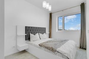 Panoramic White