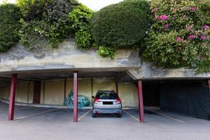 La Selva Lake and Woods