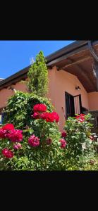 Casa Vacanze Galileo