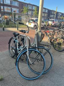 Cosy room with private bathroom and 2 bikes