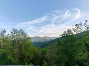 Apartments Stella Vittoria