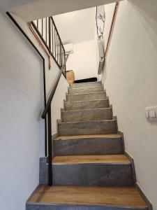 Apartments Stella Vittoria