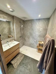 Appartement style Montage vue Mont-Blancc