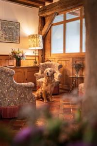 Hotels L'Absinthe Hotel : photos des chambres