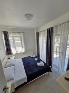 Apartamente9- Codruta