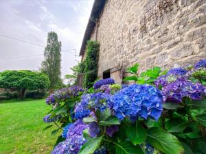 Maisons de vacances Gite le Onze beauval : photos des chambres