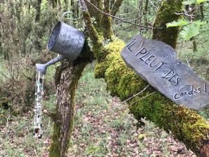 Campings Ti-Nid, cabane chaleureuse plongee dans la nature : photos des chambres
