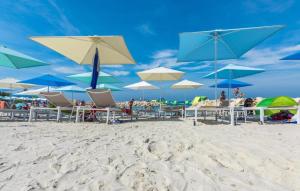 COCKTAIL and COFFE APARTMENT