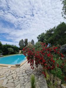Appartement lumineux à Arles avec piscine partagée