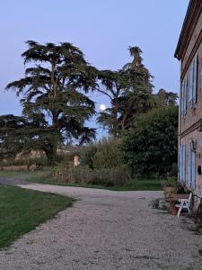 B&B / Chambres d'hotes Aux roses de Cedres : Chambre Double avec Salle de Bains Privative