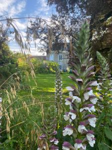 B&B / Chambres d'hotes CH2 - MANOIR DU MOULINIER - Campagne - Calme - Petit-dejeuner inclus - Table d-hote sur reservation - Parking gratuit : photos des chambres
