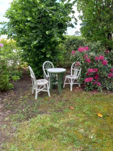 B&B / Chambres d'hotes Maison familiale entouree de verdure pres d-Arcachon, plages et Golfs : photos des chambres