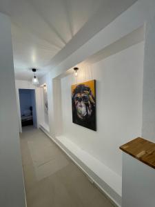 Charming 3 rooms with terrace