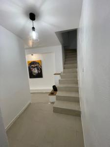 Charming 3 rooms with terrace